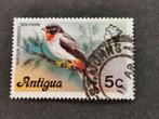 Antigua 1976 - vogels - Roodkeelsolitaire, Ophalen of Verzenden, Midden-Amerika, Gestempeld