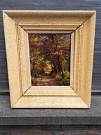 huile sur toile sous bois signe frans van genesen, Antiek en Kunst, Ophalen of Verzenden