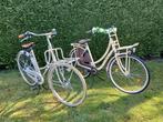 CARGO-FIETSEN 28 INCH NIEUWSTAAT RIJKLAAR SCHADEVRIJ ROESTVR, Fietsen en Brommers, Ophalen, Zo goed als nieuw