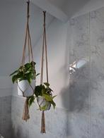 Macrame hangers met pot en hangplanten, Huis en Inrichting, Kamerplanten, Ophalen of Verzenden