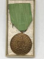 Medaille voor voormalige krijgsgevangenen België, Verzamelen, Verzenden, Landmacht, Lintje, Medaille of Wings