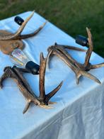 Gewei lampen, Antiek en Kunst, Ophalen of Verzenden