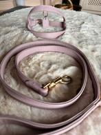 Paars harnas + leiband: Perro colletion letter L, Ophalen of Verzenden, Handgemaakt, Gebruikt