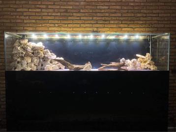 A donner: Grand aquarium 700L 