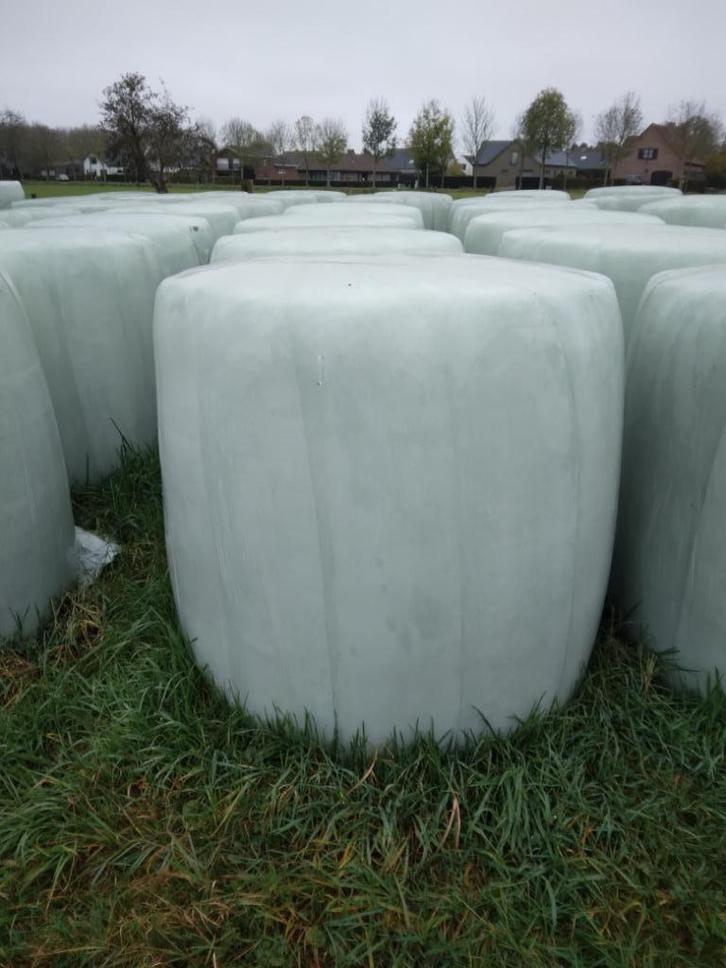 Voordroog hooi 1ste snede nieuwe oogst 2025, Dieren en Toebehoren, Stalling en Weidegang, 1 paard of pony