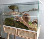Knaagdieren terrarium met witte profielen – Gerbilarium, Nieuw, Minder dan 60 cm, Hamster, Ophalen of Verzenden