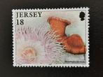 Jersey 1994 - faune sous-marine - anémone à la fraise, Timbres & Monnaies, Affranchi, Enlèvement ou Envoi