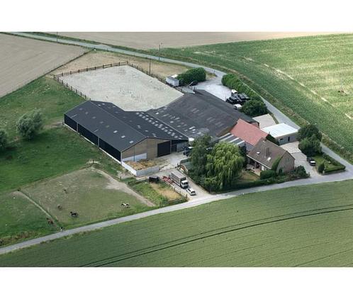 Pension chevaux, Dieren en Toebehoren, Stalling en Weidegang