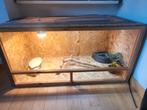 Terrarium/vivarium pour reptiles, Enlèvement, Utilisé, Terrarium ou Paludarium