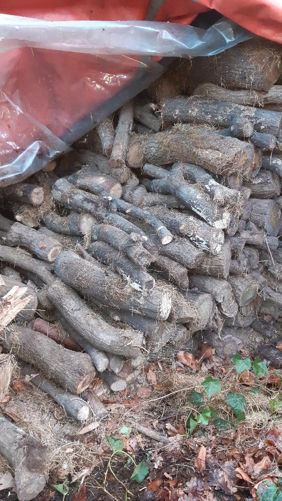 Droog brandhout (eik), thuis geleverd (240EUR voor 2m³), Tuin en Terras, Brandhout, Blokken, Eikenhout, 3 tot 6 m³, Verzenden