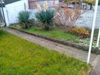 Rue Du Monciat 6240 — Farciennes, Immo, Huizen te huur