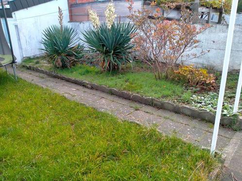 Rue Du Monciat 6240 — Farciennes, Immo, Huizen te huur