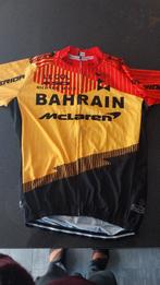 Bahrain-Victorious wielertenue, Fietsen en Brommers, Ophalen of Verzenden, Heren, Zo goed als nieuw, L