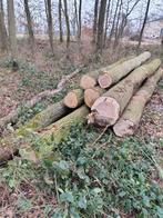 Grumes de bois de chêne, Enlèvement, Chêne