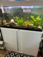 Aquarium aqualantis 250 litres, Dieren en Toebehoren, Ophalen, Zo goed als nieuw