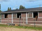 Stal + weidegang te huur in Duffel, Dieren en Toebehoren, Stalling en Weidegang, Weidegang