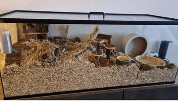Hamster Terrarium van Glas – Zonder Plateau en Schuifruiten beschikbaar voor biedingen
