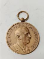 Italië medaille scuole italiane all'estero brons, Ophalen of Verzenden