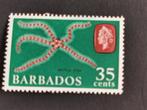 Barbade 1965 - faune marine - étoile de mer, Animal et Nature, Enlèvement ou Envoi, Non oblitéré