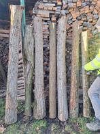 Acacia bolacacia stamhout hout, Tuin en Terras, Ophalen