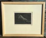 Heliogravure “La Messagière du Diable” F. Rops 82 ipv 182€, Antiek en Kunst, Kunst | Etsen en Gravures, Ophalen
