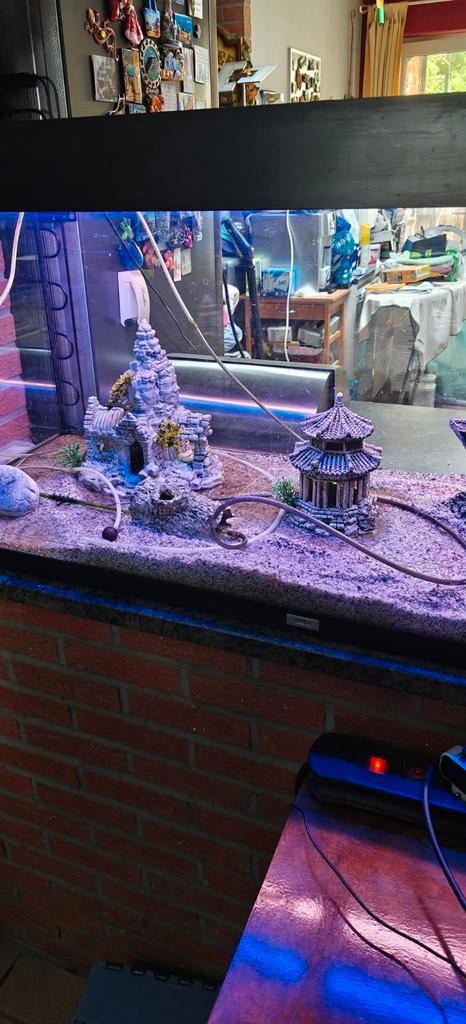 Aquarium juwel 240l, Dieren en Toebehoren, Vissen | Aquaria en Toebehoren, Zo goed als nieuw, Ophalen