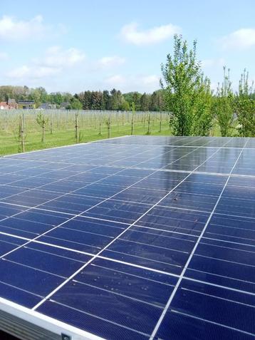 3 zonnepanelen Solarworld 780watt. beschikbaar voor biedingen