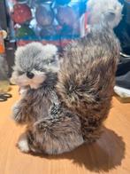 Eekhoorn met zachte haren, Enlèvement ou Envoi, Neuf