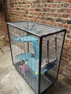 Cage pour rats, Enlèvement, Cage