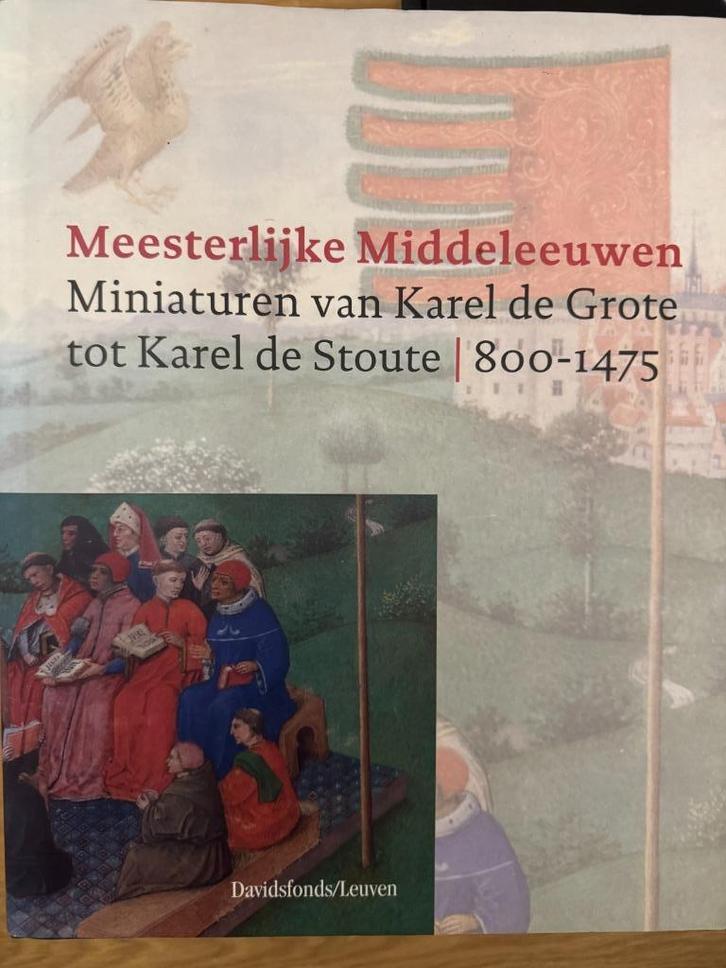 Meesterlijke Middeleeuwen, Boeken, Kunst en Cultuur | Beeldend, Zo goed als nieuw, Ophalen of Verzenden