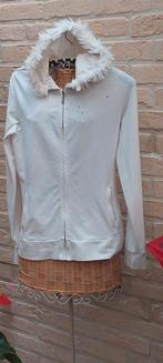 Vest met kap maat m hunkemoller, Vêtements | Femmes, Pulls & Gilets, Taille 38/40 (M), Enlèvement ou Envoi, Comme neuf, Blanc