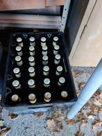 Trippel Karmeliet Bak, Ophalen