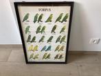 Kader van forpussen B 52 cm x G 74 cm, Dieren en Toebehoren