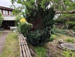 Bulgarije - Ruim Landgoed met 3390m2 land - 10 kamers, Immo, 527 m², Woonhuis, 10 kamers