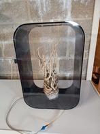 Aquarium met toebehoren, Enlèvement