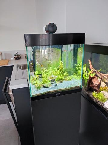 Ciano Emotions pro 40 beschikbaar voor biedingen