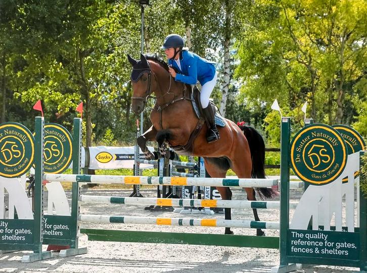 Amazone zoekt paarden om uit te brengen !, Animaux & Accessoires, Chevaux