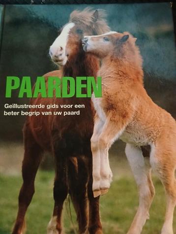Boek paarden beschikbaar voor biedingen