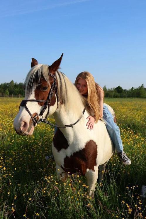 Trainer/hulp aangeboden, Dieren en Toebehoren, Paarden