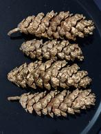 Grote dennenappels, Hobby en Vrije tijd, Ophalen of Verzenden, Zo goed als nieuw