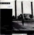 Vinyl, 7"   /   Black   – Wonderful Life, CD & DVD, Vinyles | Autres Vinyles, Autres formats, Enlèvement ou Envoi