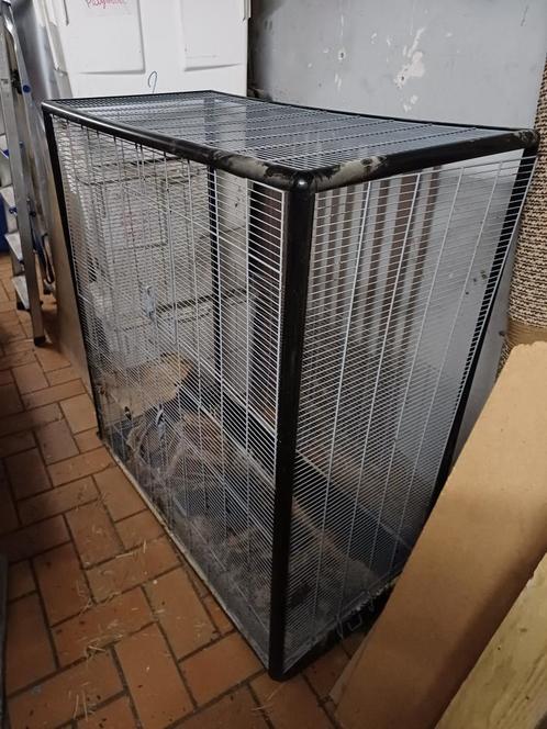 Savic zeno 3 empire dierenkooi, Dieren en Toebehoren, Knaagdieren en Konijnen | Toebehoren, Zo goed als nieuw, Overige typen, Ophalen