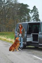 transportkooi voor hond van het merk MIMsafe, Dieren en Toebehoren, Ophalen, Zo goed als nieuw