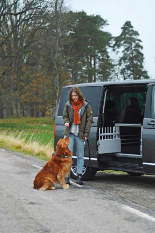 transportkooi voor hond van het merk MIMsafe, Dieren en Toebehoren, Transportboxen, Zo goed als nieuw, Ophalen