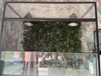 3 terrariums te koop, Dieren en Toebehoren, Ophalen, Zo goed als nieuw