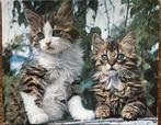 Puzzel met Kittens (100 stuks), Enlèvement ou Envoi, Utilisé