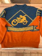 Wollen trui met opschrift Harley davidson L-XL(handgebreide), Kleding | Heren, Ophalen of Verzenden, Zo goed als nieuw