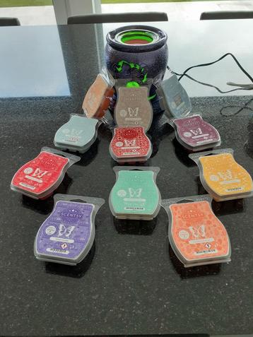 Scentsy waxbars op bestelling €7 per stuk 6 stuks voor €35 beschikbaar voor biedingen