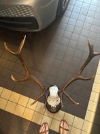 Trophée de Cerf Décoratif, Antiquités & Art, Enlèvement ou Envoi