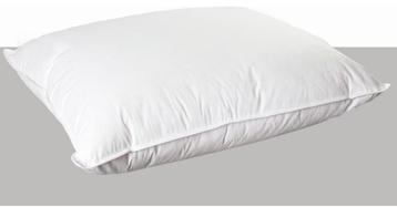 Hoofdkussen 900 gr - 100% veren 60x70cm beschikbaar voor biedingen